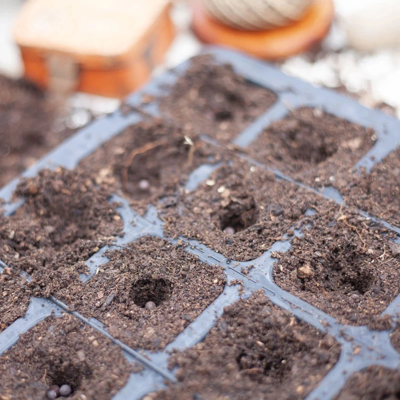 Pluggbrätte Av Naturgummi 20 Celler, Delbart 5 Pluggbrätte Av Naturgummi 20 Celler, Delbart - Image 3