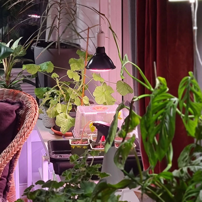 Primula Nova Grow LED 16 W, Antracit 4 Primula Nova Grow LED 16 W, Antracit - Image 2