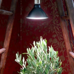 Primula Nova Winter LED 16 W, Antracit 8 Primula Nova Winter LED 16 W, Antracit -Garden Supplies Sales 2024 primula nova indoor antracit olivtrad