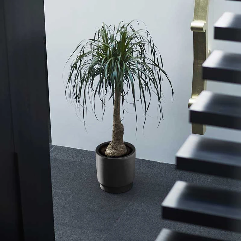 Elho Kruka Pure Grade 39 Cm, Svart 5 Elho Kruka Pure Grade 39 Cm, Svart - Image 3