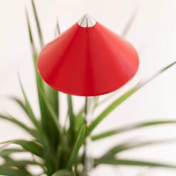 SunLite Växtlampa Med Teleskopstativ, Röd -Garden Supplies Sales 2024 rod sunlite vaxtlampa palmvaxt