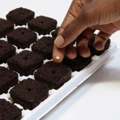 Root Riot 24-pack Med Minidrivhus 10 Root Riot 24-pack Med Minidrivhus -Garden Supplies Sales 2024 root riot 24 fro