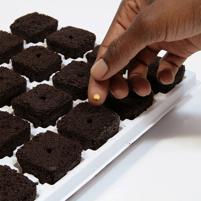 Root Riot 24-pack Med Minidrivhus 6 Root Riot 24-pack Med Minidrivhus - Image 4