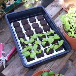 Root Riot 24-pack Med Minidrivhus 9 Root Riot 24-pack Med Minidrivhus -Garden Supplies Sales 2024 root riot i odlingstrag