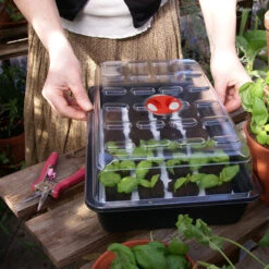 Root Riot 24-pack Med Minidrivhus 11 Root Riot 24-pack Med Minidrivhus -Garden Supplies Sales 2024 root riot med minidrivhus