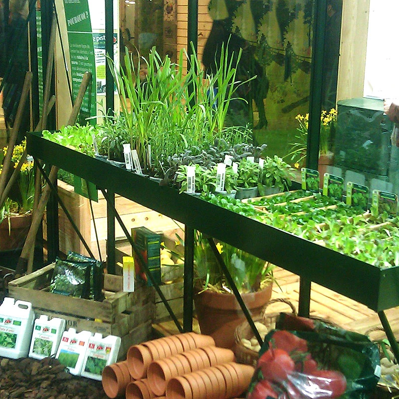 Såbord Med Kant 217 X 42 Cm, Lackerat 3 Såbord Med Kant 217 X 42 Cm, Lackerat