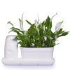 Minigarden Basic Uno S Vit -Garden Supplies Sales 2024 sjalvbevattning av krukvaxter minigarden basic uno
