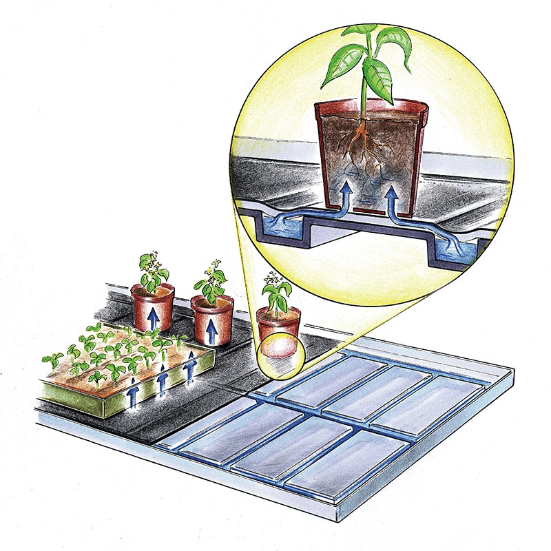 Självvattnande Plantbricka, 2 -pack 4 Självvattnande Plantbricka, 2 -pack - Image 2