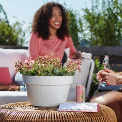 Gazebo Parts Direct Sales Store -Garden Supplies Sales 2024 skal loft urban 35x20 cm varmgra miljobild