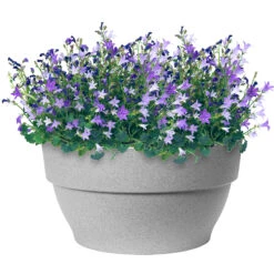 Elho Blomskål Vibia Campana 34x17 Cm, Grå -Garden Supplies Sales 2024 skal vibia campana 34x17 cm gra blomma