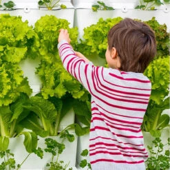 Minigarden Kitchen Garden, Svart -Garden Supplies Sales 2024 skord av gronsaker i kitchen garden vaggodling