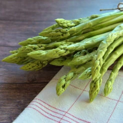 Sparris 'Bacchus' 3-pack