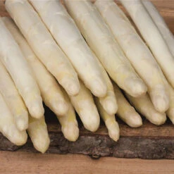 Sparris 'Cygnus' 3-pack