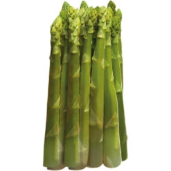 Sparris 'Xenolim' F1, 3-pack