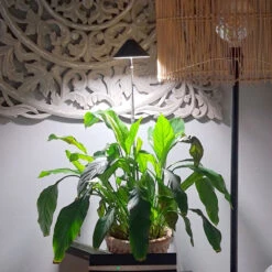 Gazebo Parts Direct Sales Store -Garden Supplies Sales 2024 sunlite gra fredskalla wh