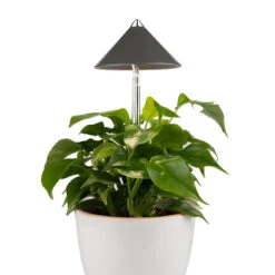 SunLite Växtlampa Med Teleskopstativ, Grå -Garden Supplies Sales 2024 sunlite gra frilagd