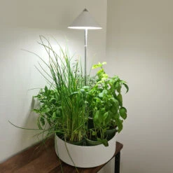 SunLite MiniHerb 10W, S -Garden Supplies Sales 2024 sunlite miniherb small WH