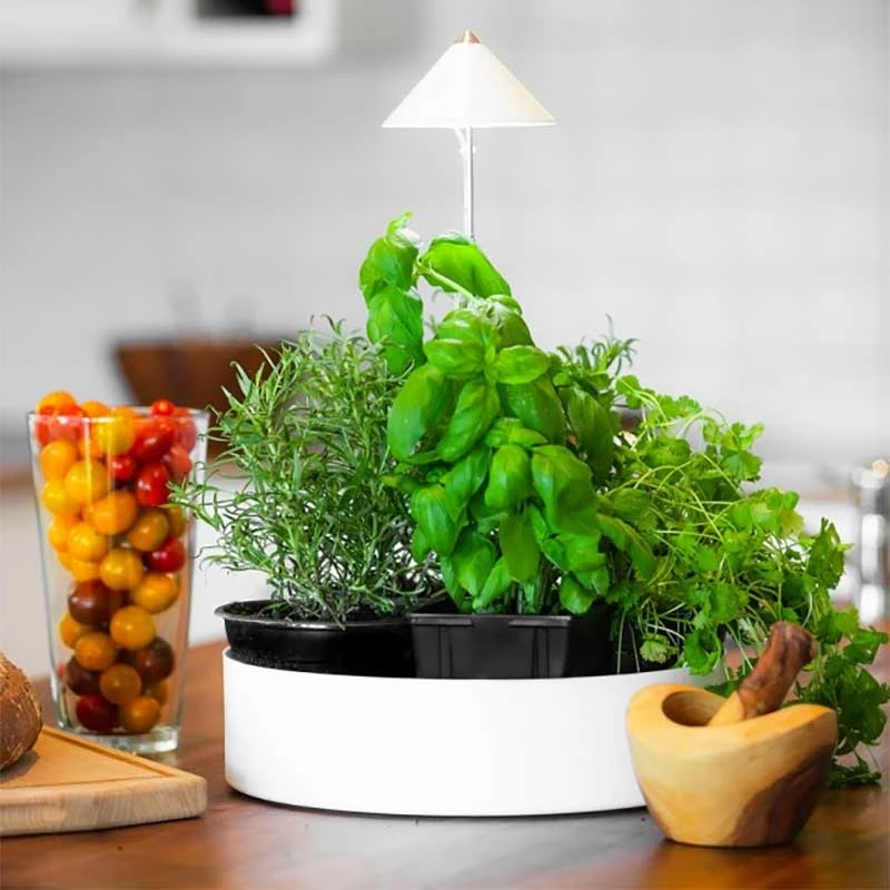 SunLite MiniHerb 10W, L 3 SunLite MiniHerb 10W, L