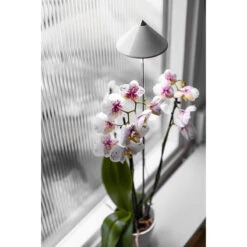 SunLite Orchid 10W, Vit -Garden Supplies Sales 2024 sunlite orchid vaxtlampa 10w vit fonster
