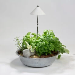 SunLite Växtlampa Med Teleskopstativ, Vit -Garden Supplies Sales 2024 sunlite vaxtbelysning i vit