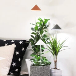 SunLite Växtlampa Med Teleskopstativ, Koppar -Garden Supplies Sales 2024 sunlite vaxtlampor i krukvaxter