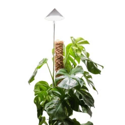 SunLite XL Växtlampa Med Teleskopstativ, Vit 15 SunLite XL Växtlampa Med Teleskopstativ, Vit -Garden Supplies Sales 2024 sunlite xl till monstera frilagd