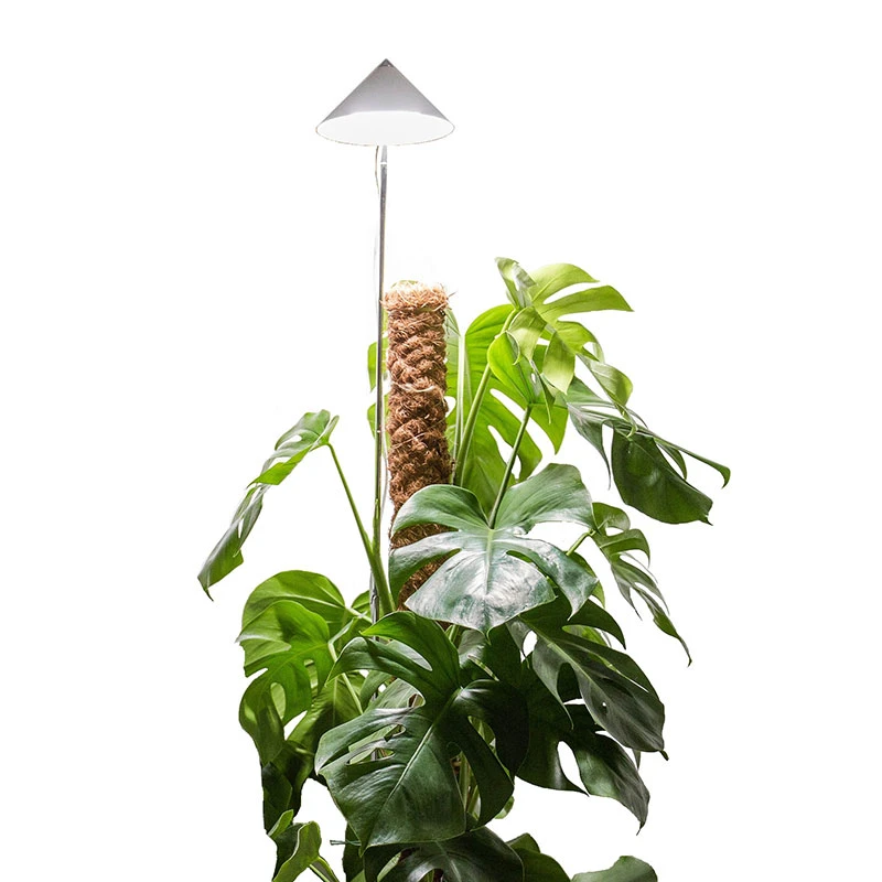 SunLite XL Växtlampa Med Teleskopstativ, Vit 7 SunLite XL Växtlampa Med Teleskopstativ, Vit - Image 5