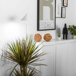 SunLite XL Växtlampa Med Teleskopstativ, Vit 19 SunLite XL Växtlampa Med Teleskopstativ, Vit -Garden Supplies Sales 2024 sunlite xl vaxtlampa inne i rummet