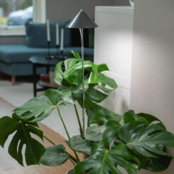 SunLite XL Växtlampa Med Teleskopstativ, Grå 7 SunLite XL Växtlampa Med Teleskopstativ, Grå -Garden Supplies Sales 2024 sunlite xl vaxtlampa med teleskopstativ gra