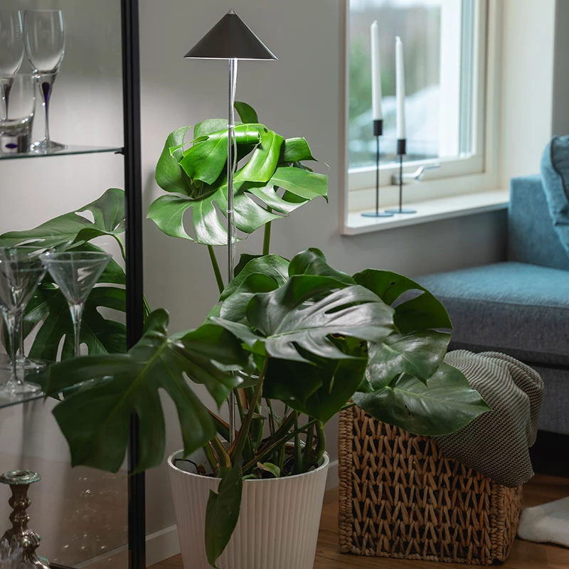 SunLite XL Växtlampa Med Teleskopstativ, Grå 3 SunLite XL Växtlampa Med Teleskopstativ, Grå