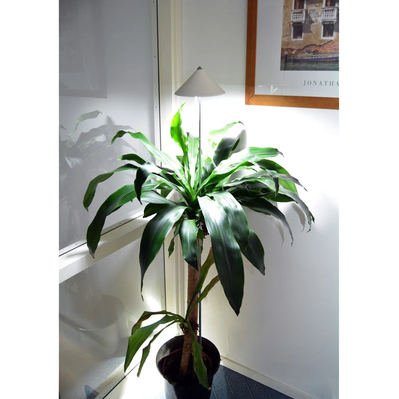 SunLite XL Växtlampa Med Teleskopstativ, Vit 6 SunLite XL Växtlampa Med Teleskopstativ, Vit - Image 4