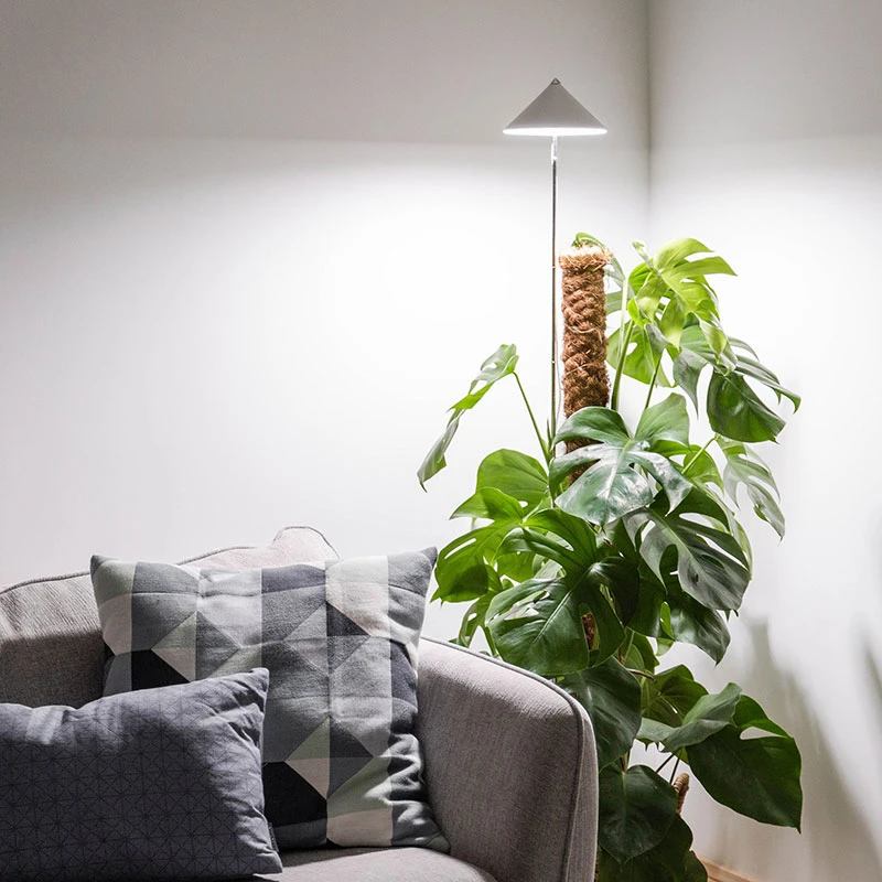 SunLite XL Växtlampa Med Teleskopstativ, Vit 8 SunLite XL Växtlampa Med Teleskopstativ, Vit - Image 6