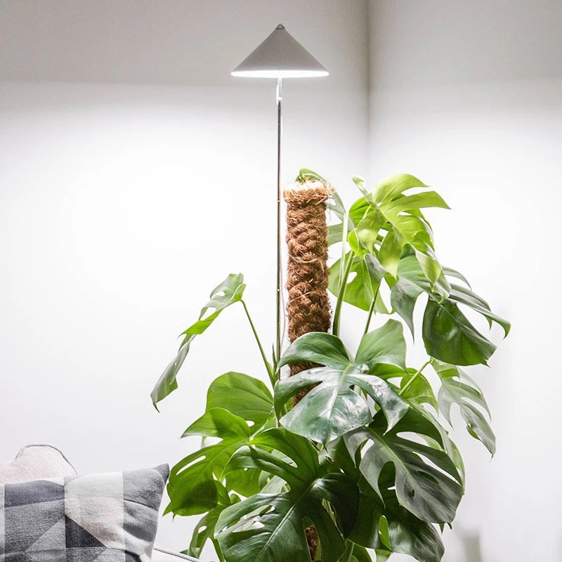 SunLite XL Växtlampa Med Teleskopstativ, Vit 3 SunLite XL Växtlampa Med Teleskopstativ, Vit