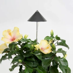 SunLite Växtlampa Med Teleskopstativ, Grå -Garden Supplies Sales 2024 sunslte vaxtbelysning grafitgra