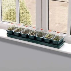 Miniväxthus Med Bevattning För Fönsterbrädan - 7 Kupor