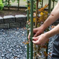 Trädstöd, Grön 180 Cm -Garden Supplies Sales 2024 tradstod gron 180 cm narbild