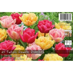 Tulpan 'Foxtrot' Mix -Garden Supplies Sales 2024 tulpan foxtrot mix forpackning