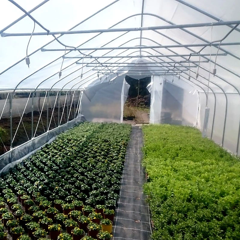 Tunnelväxthus Pro 35 Kvm, 4 X 8,75 M, 2 Dörrar 6 Tunnelväxthus Pro 35 Kvm, 4 X 8,75 M, 2 Dörrar - Image 4