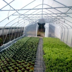 Tunnelväxthus Pro 15 Kvm, 2 X 7,5 M, 2 Dörrar -Garden Supplies Sales 2024 tunnelvaxthus pro med sidoventilation 31