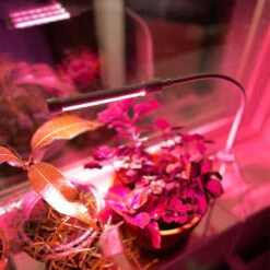 Växtlampa LED 7W USB, Vit -Garden Supplies Sales 2024 usb led wh