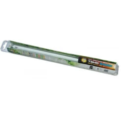 Lysrör Till Odlingsstation, Liten