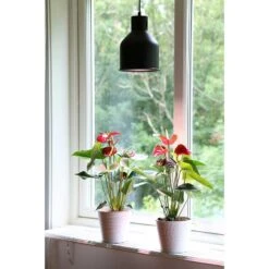 Växtarmatur LED Saga, Svart 10 Växtarmatur LED Saga, Svart -Garden Supplies Sales 2024 vaxtarmatur led saga svart i fonster