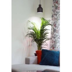 Växtarmatur LED Saga, Svart 11 Växtarmatur LED Saga, Svart -Garden Supplies Sales 2024 vaxtarmatur led saga svart i vrum