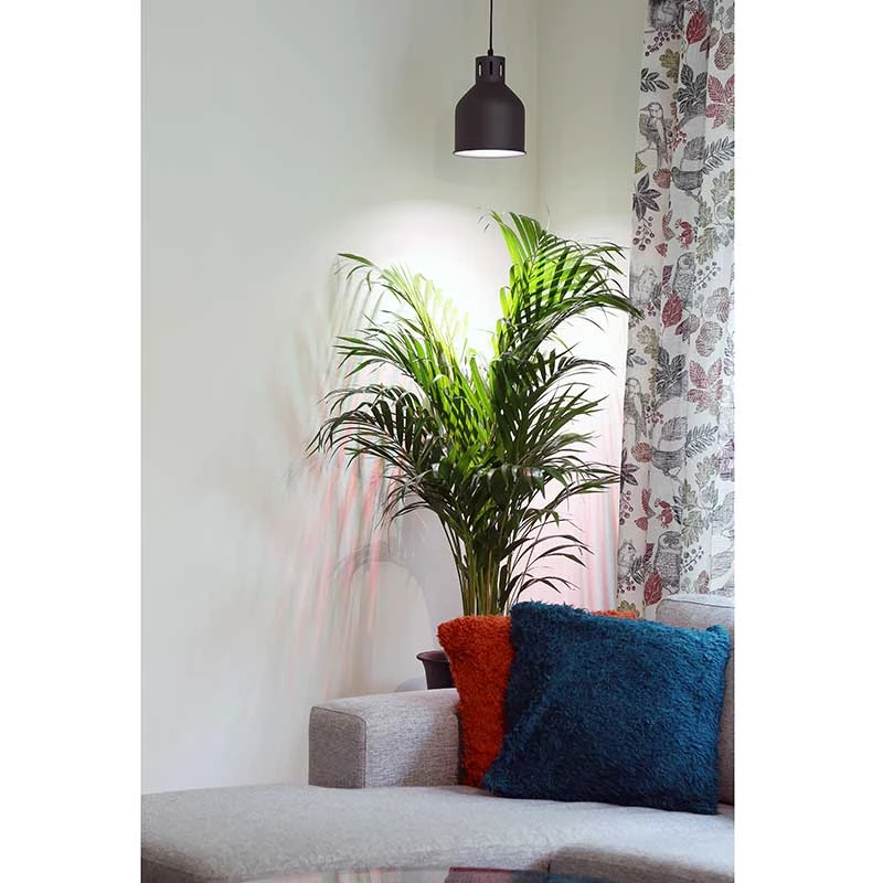 Växtarmatur LED Saga, Svart 7 Växtarmatur LED Saga, Svart - Image 5