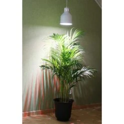 Växtarmatur LED Saga, Vit -Garden Supplies Sales 2024 vaxtarmatur led saga vit med vaxt