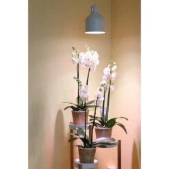 Växtarmatur LED Saga, Vit -Garden Supplies Sales 2024 vaxtarmatur led saga vit orkide