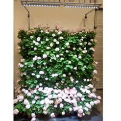 Gazebo Parts Direct Sales Store -Garden Supplies Sales 2024 vaxtbelysning led spot 60