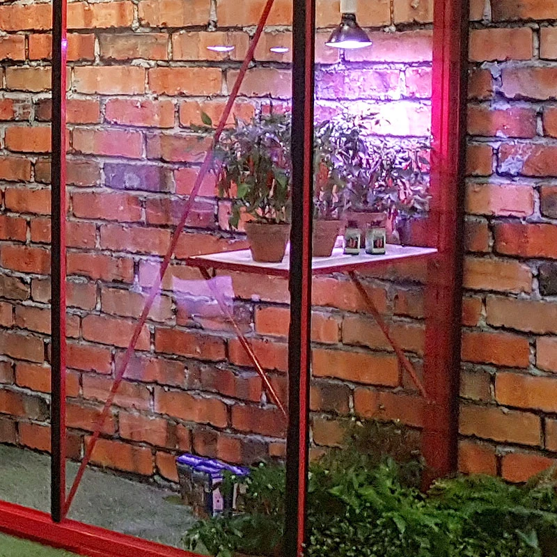 Växthusbord 71,5 X 52 Cm Lackerad 4 Växthusbord 71,5 X 52 Cm Lackerad - Image 2