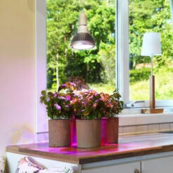 Växtlampa Odla 18W -Garden Supplies Sales 2024 vaxtlampa cultura i kok