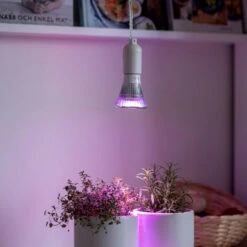 Växtlampa Odla 6W 9 Växtlampa Odla 6W -Garden Supplies Sales 2024 vaxtlampa cultura miljobild